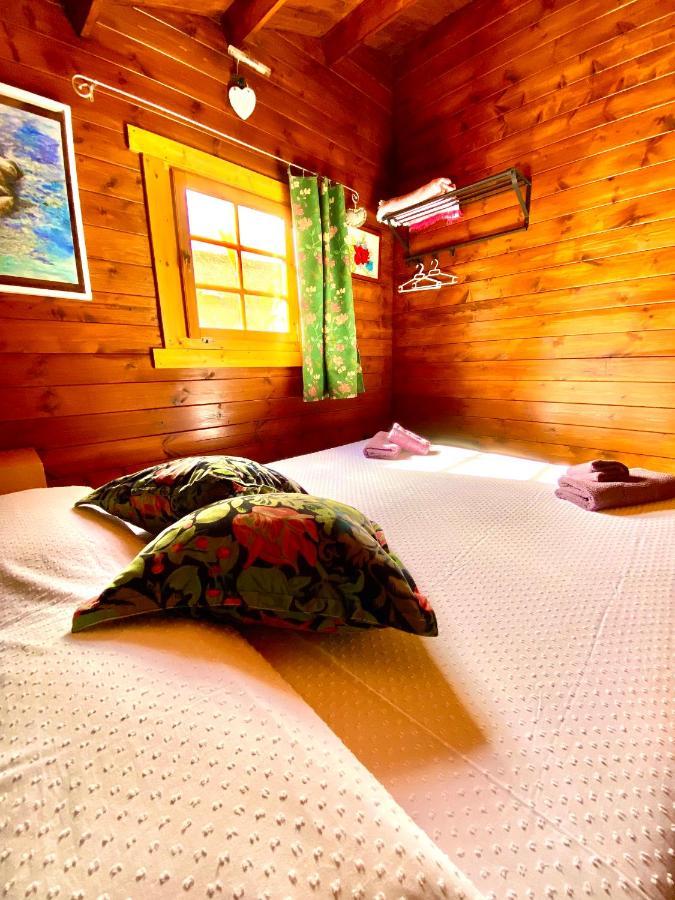 Canary Wild House 2 Carrizal المظهر الخارجي الصورة