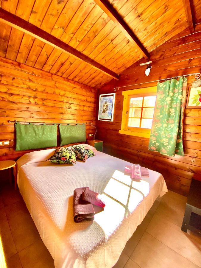 Canary Wild House 2 Carrizal المظهر الخارجي الصورة