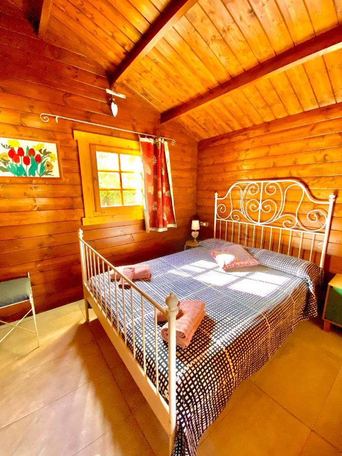 Canary Wild House 2 Carrizal المظهر الخارجي الصورة